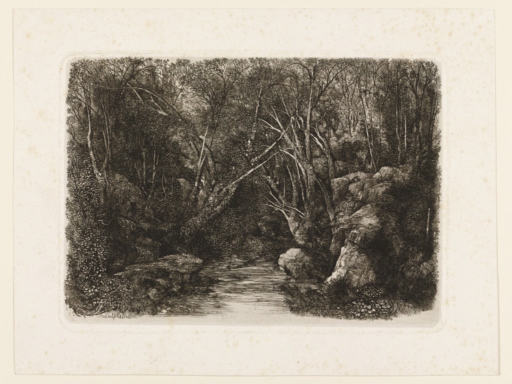 The Stream