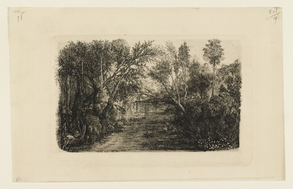 The Creek