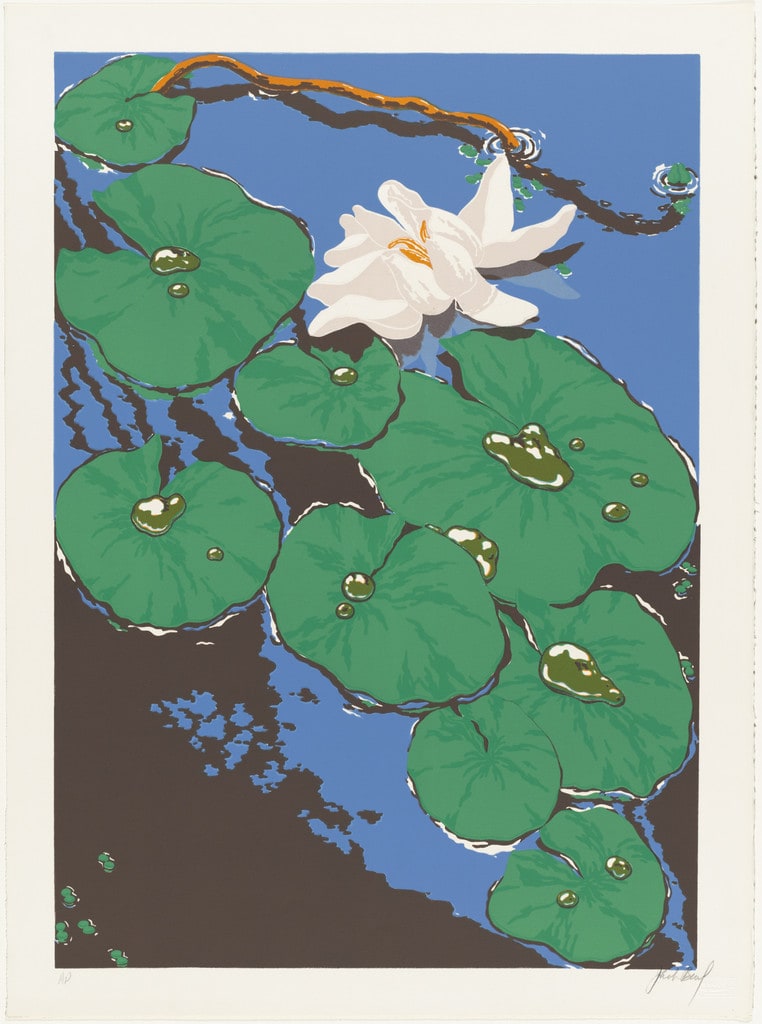 Pond Lilies from Ten Lithographs by Ten Artists
