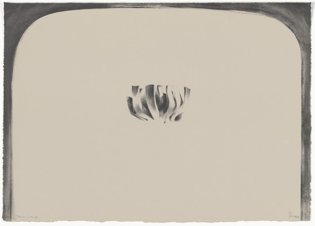 The Flower of Pierdra (La Flor de Pierdra)