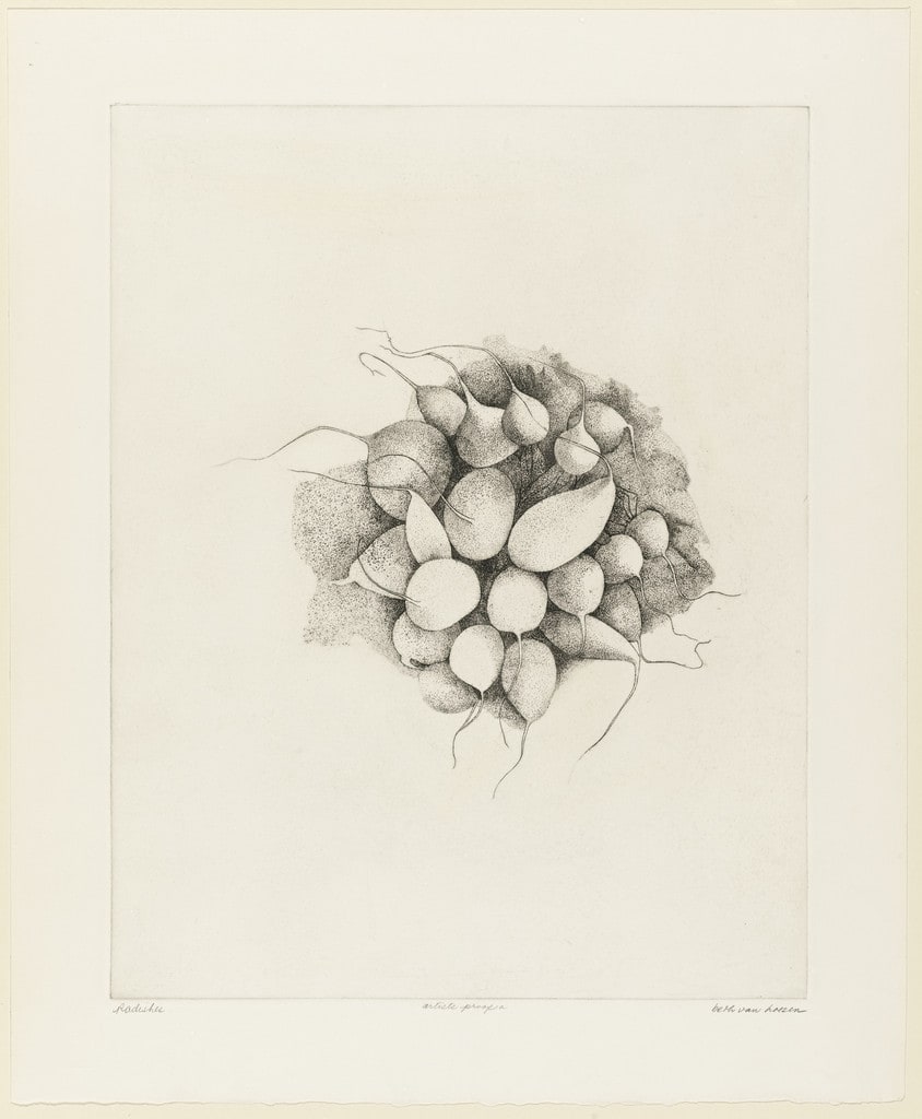 Radishes