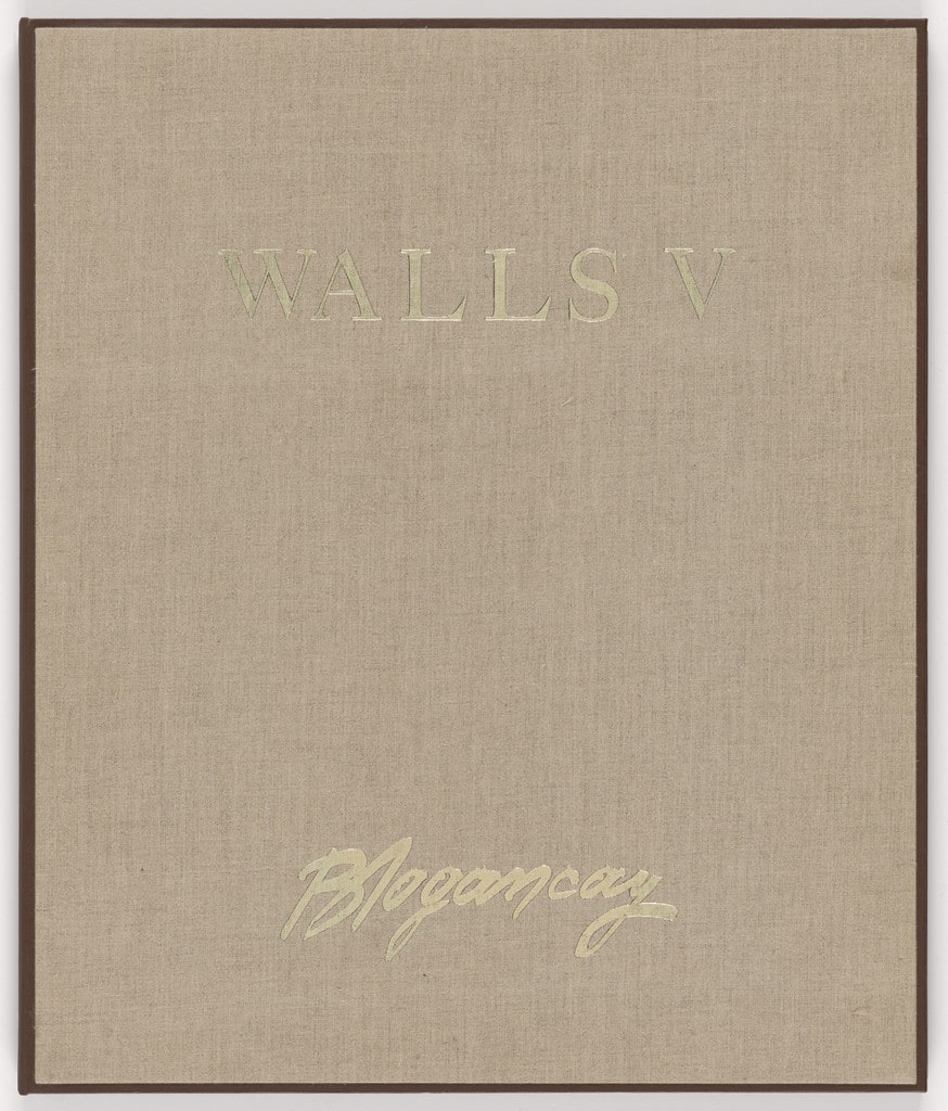 Walls V