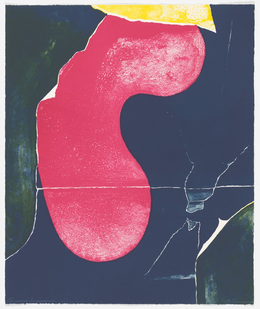 Untitled (#5) from Walls V