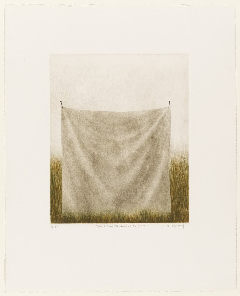 White Handkerchief on the Grass