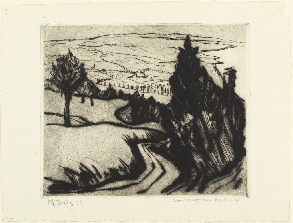 Landscape at Bodensee (Landschaft am Bodensee)