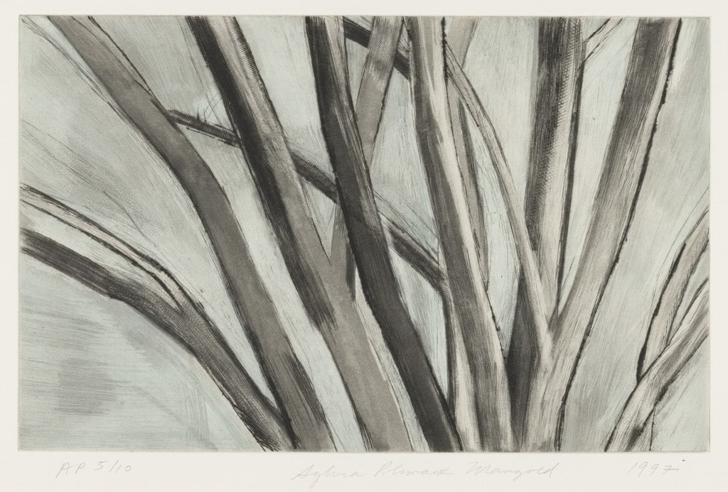 Winter Elm