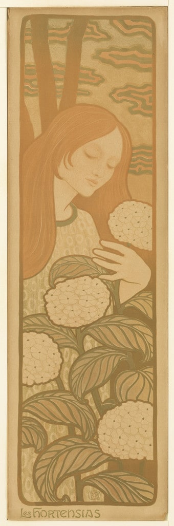The Hydrangeas