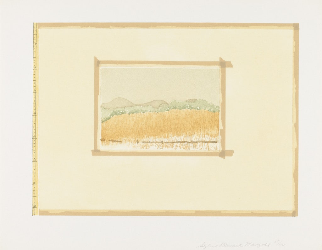 Aquatint, Sugarlift and Golden Changes