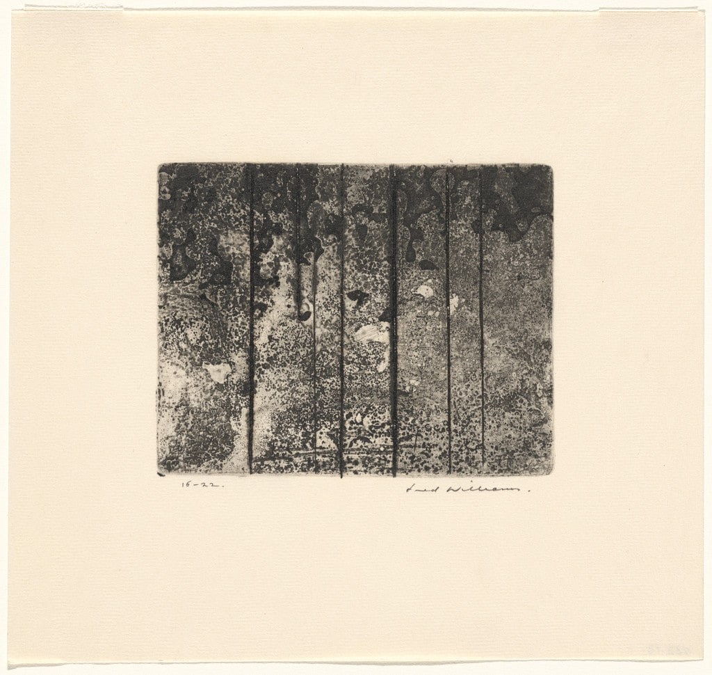 Sherbrooke Forest No. 8, State IV/IV