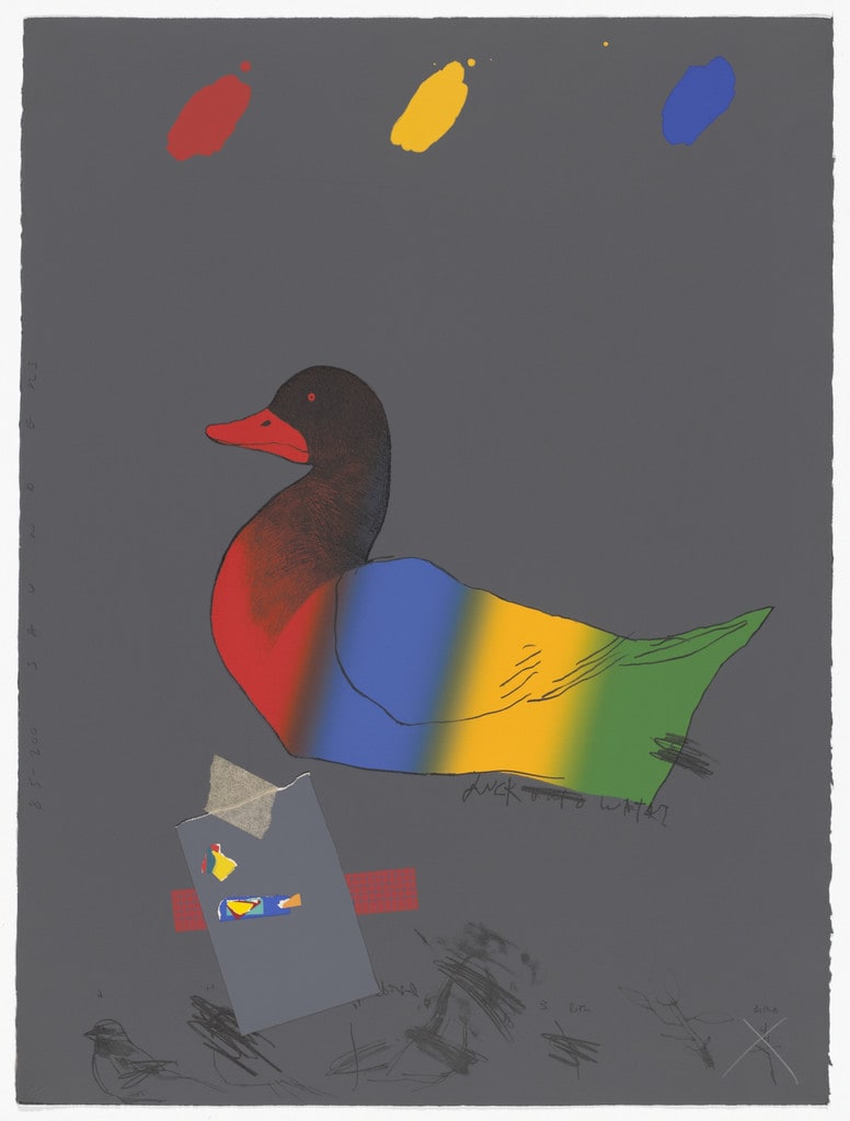 Duck Out of Water from America: The Third Century