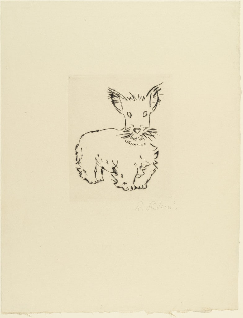 Scotch Terrier (Scotch Terrier)