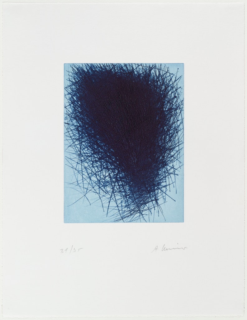 Blaues Nest (Blue Nest)