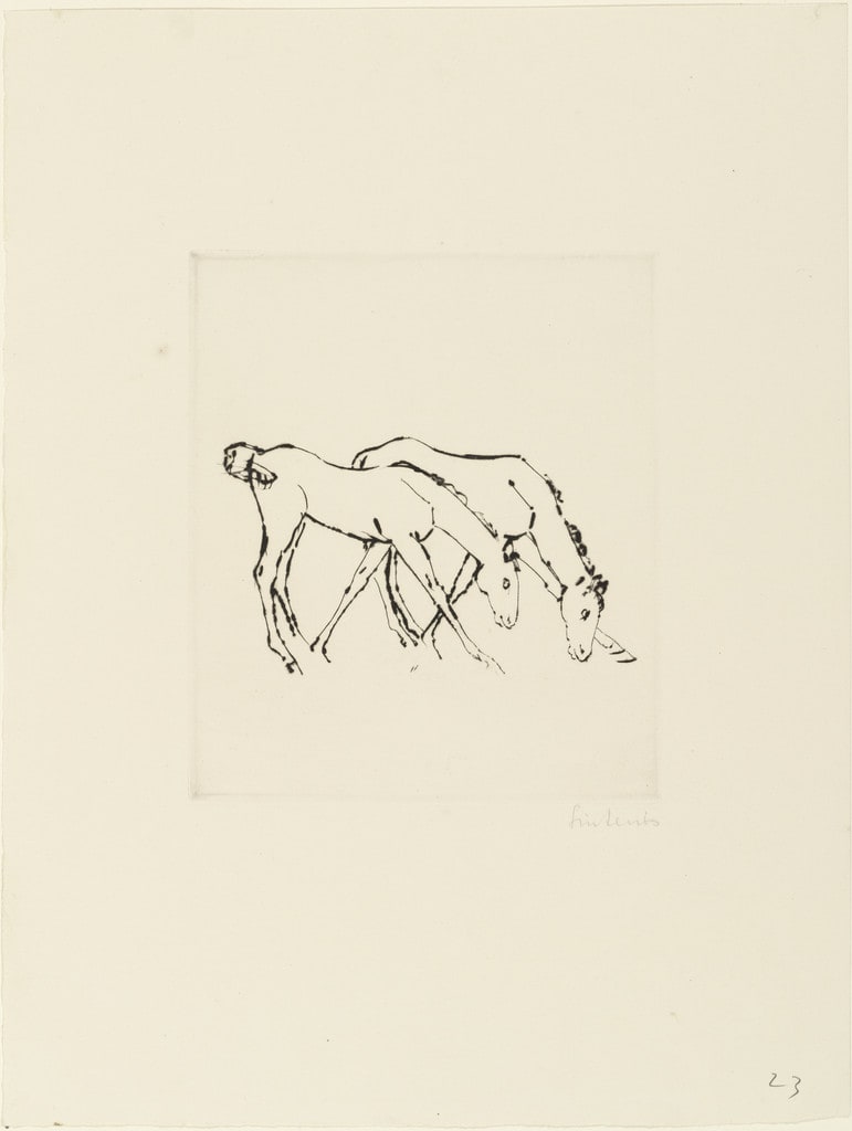 Two Colts Grazing (Zwei Fohlen, grasend)