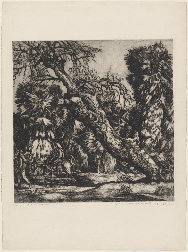 Old Quebracho Tree (Viejo quebracho)