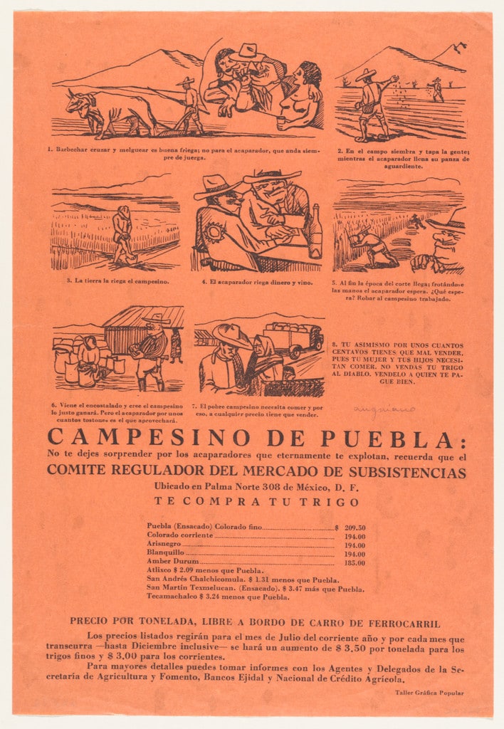 Peasant of Puebla (Campesino de Puebla)