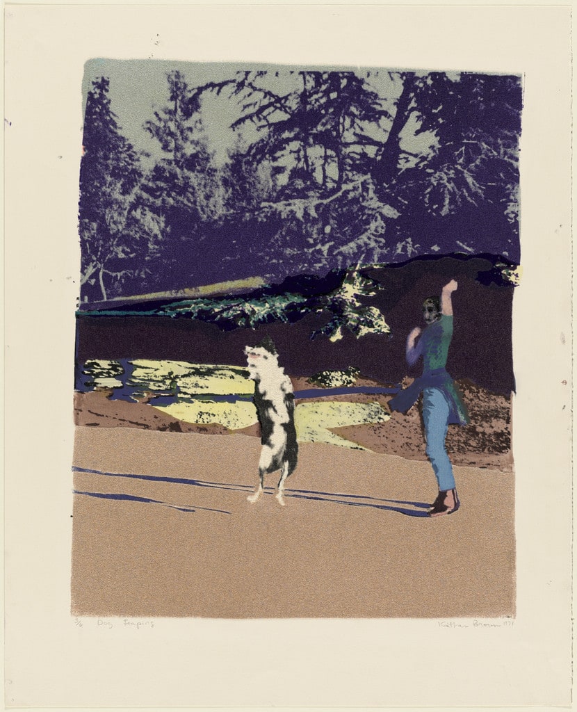Dog Leaping