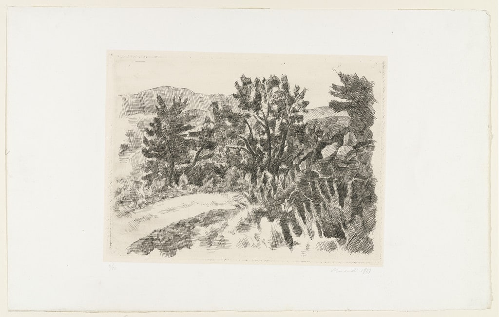 Landscape