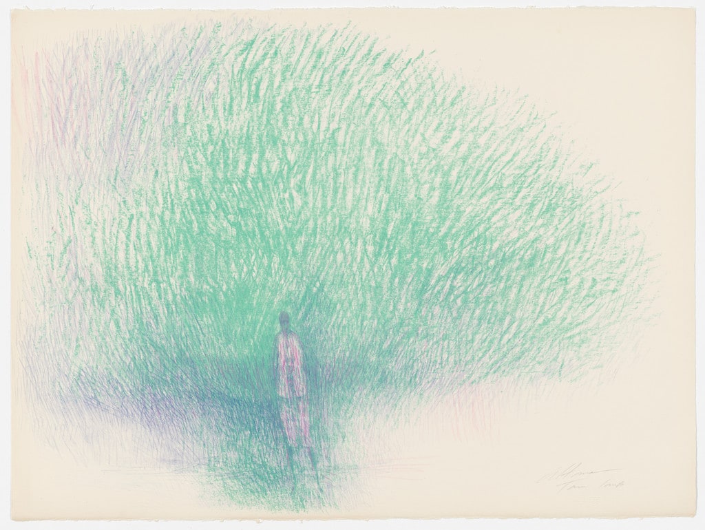 Figure and Foliage from Untitled Suite