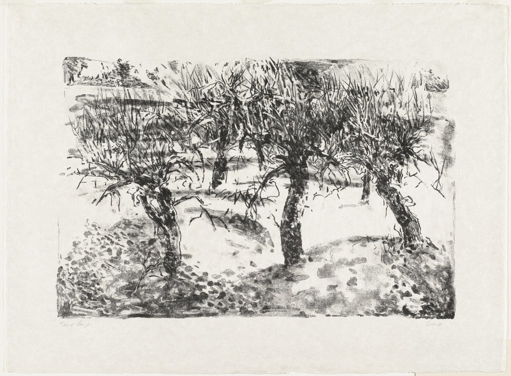 Winter Orchard
