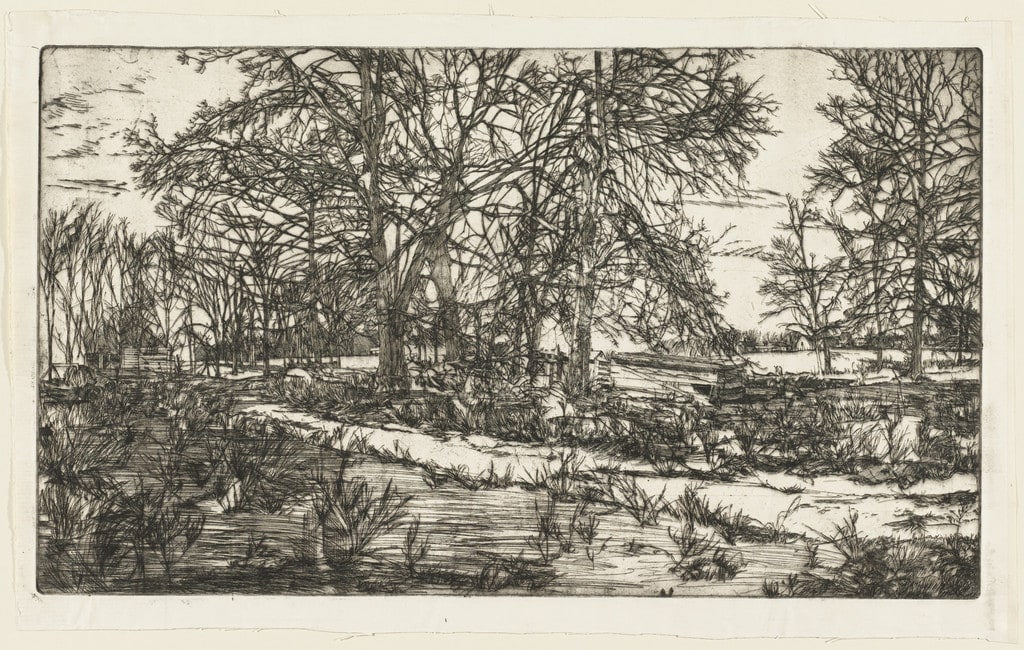 Cow Pasture