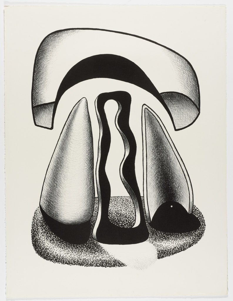 Coronation of Forms (Le couronnement des formes) from the portfolio Living Forms (Les formes vivantes)