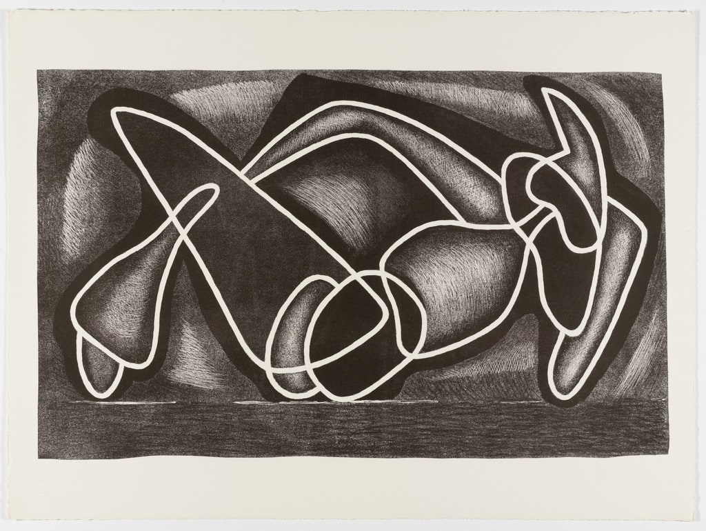 Encircled Forms (Les formes encerclées) from the portfolio Living Forms (Les formes vivantes)