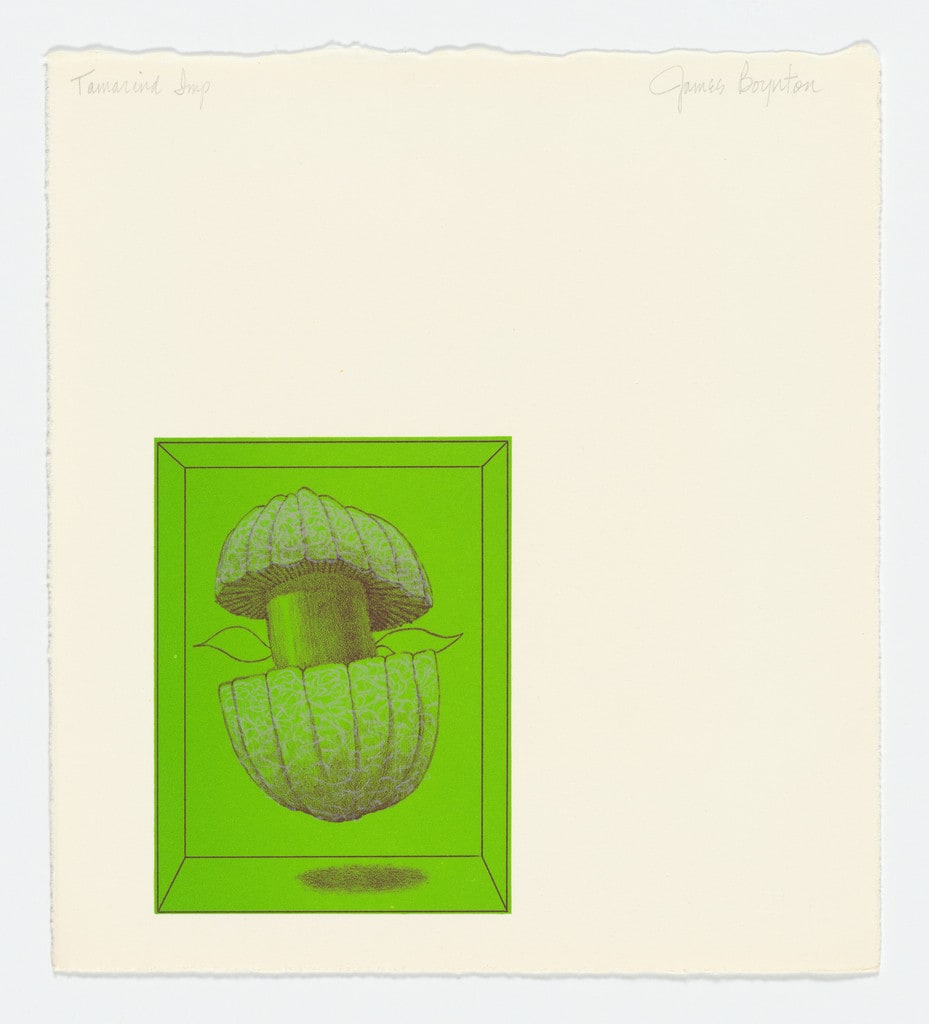 Coupled Mushrooms from the series Pandorasville Revisited