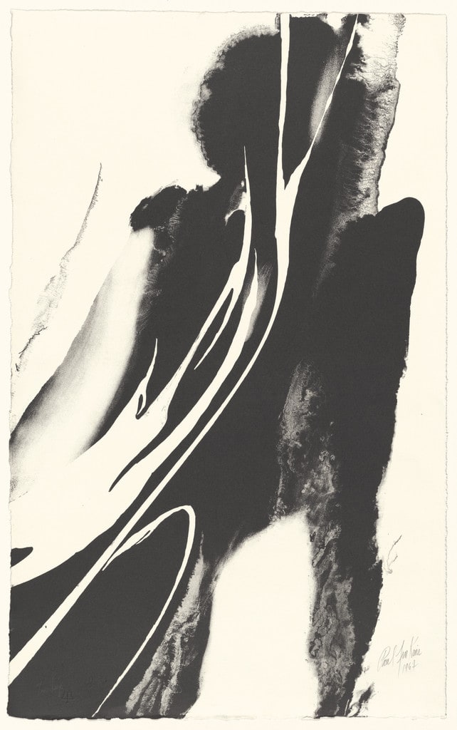 Phenomena Synanon