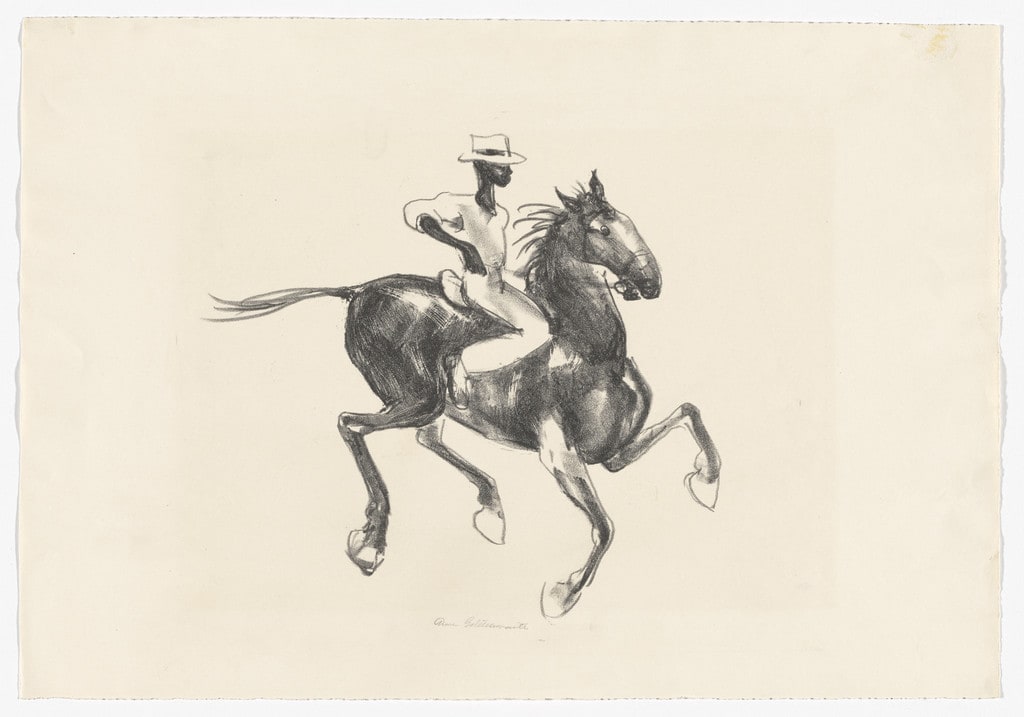 Horse and Rider
