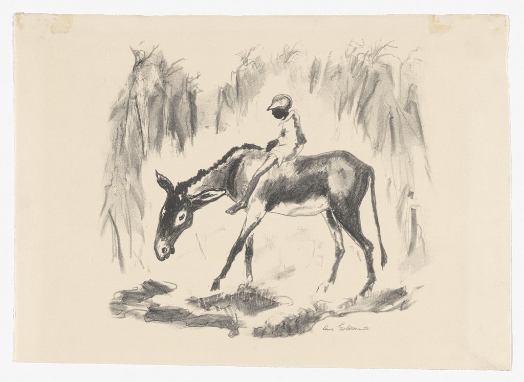 Waterhole