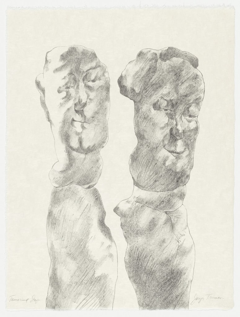 Untitled from The Mirrored Couple