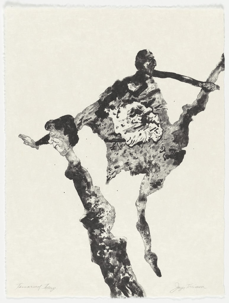 Untitled from The Mirrored Couple