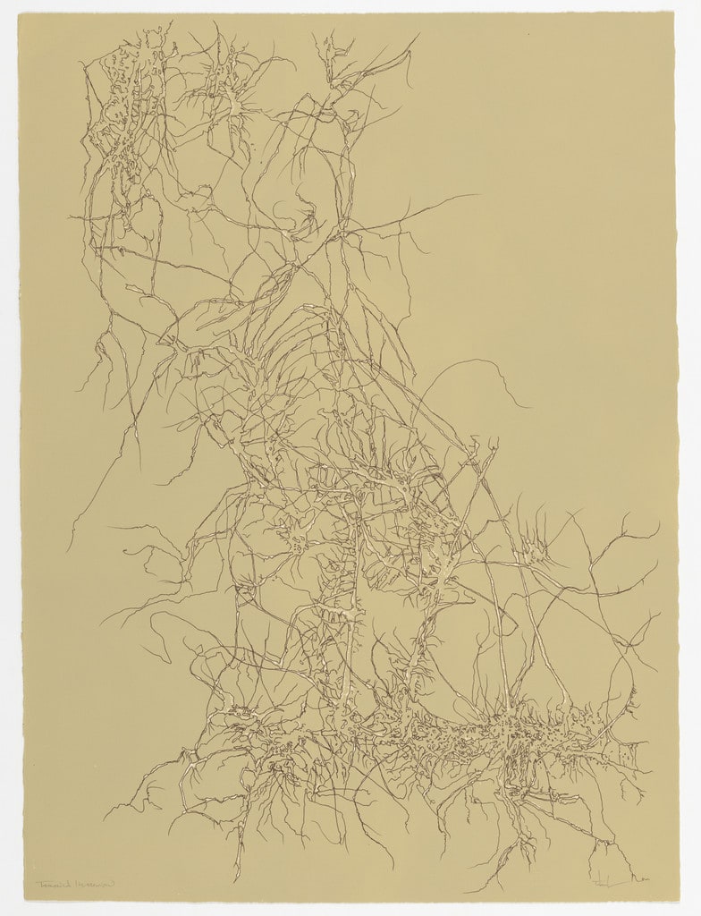 Winter Vine from the portfolio Of Nature, Of Man