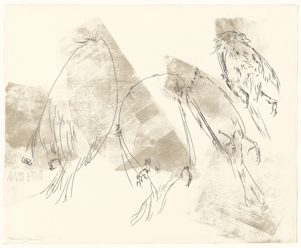 Birds from the portfolio Of Nature, Of Man