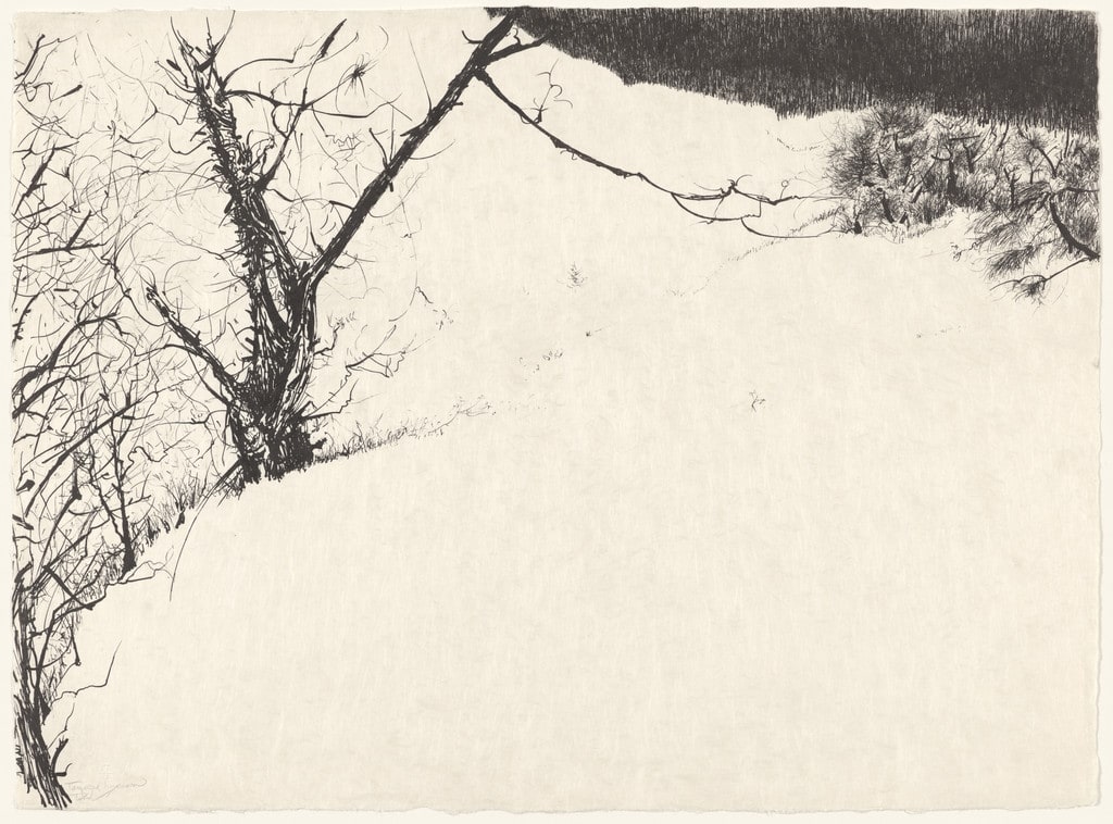 Snow Fields from the portfolio Of Nature, Of Man
