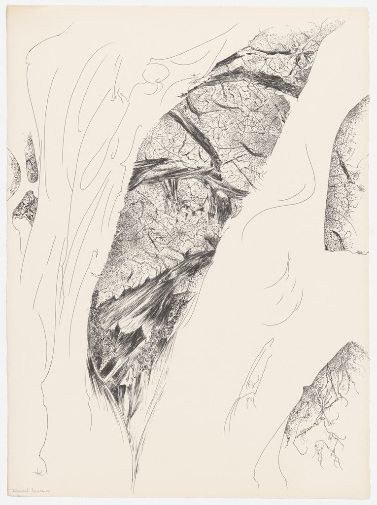 Tree Opening from the portfolio Of Nature, Of Man