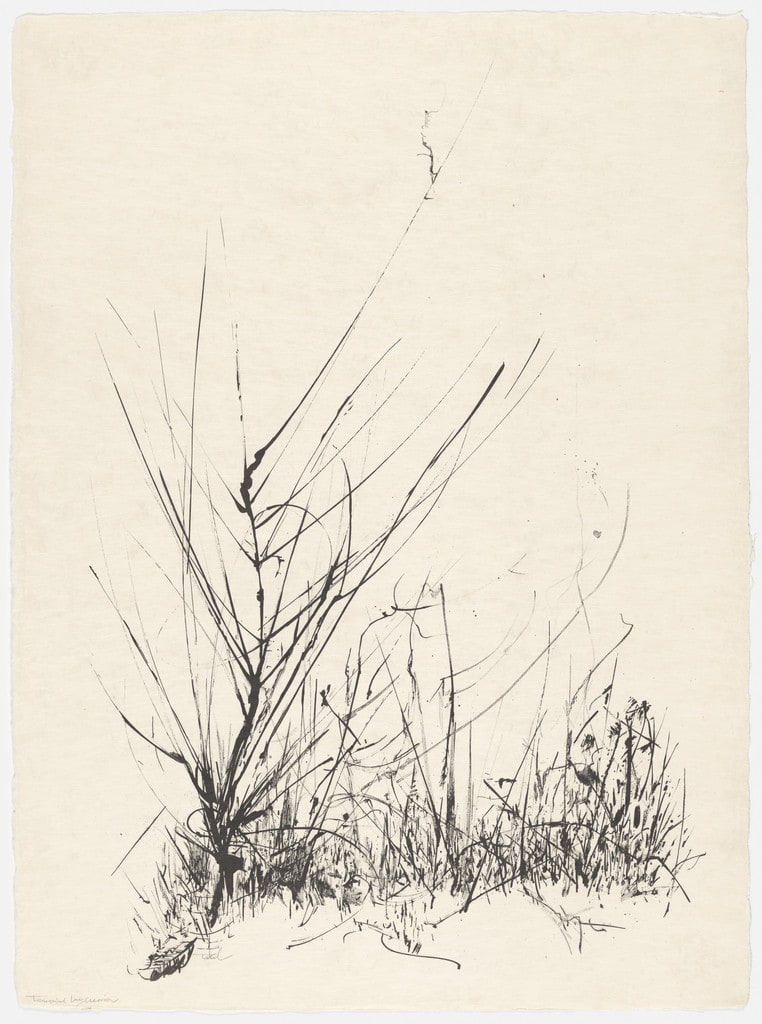 Winter Weeds from the portfolio Of Nature, Of Man