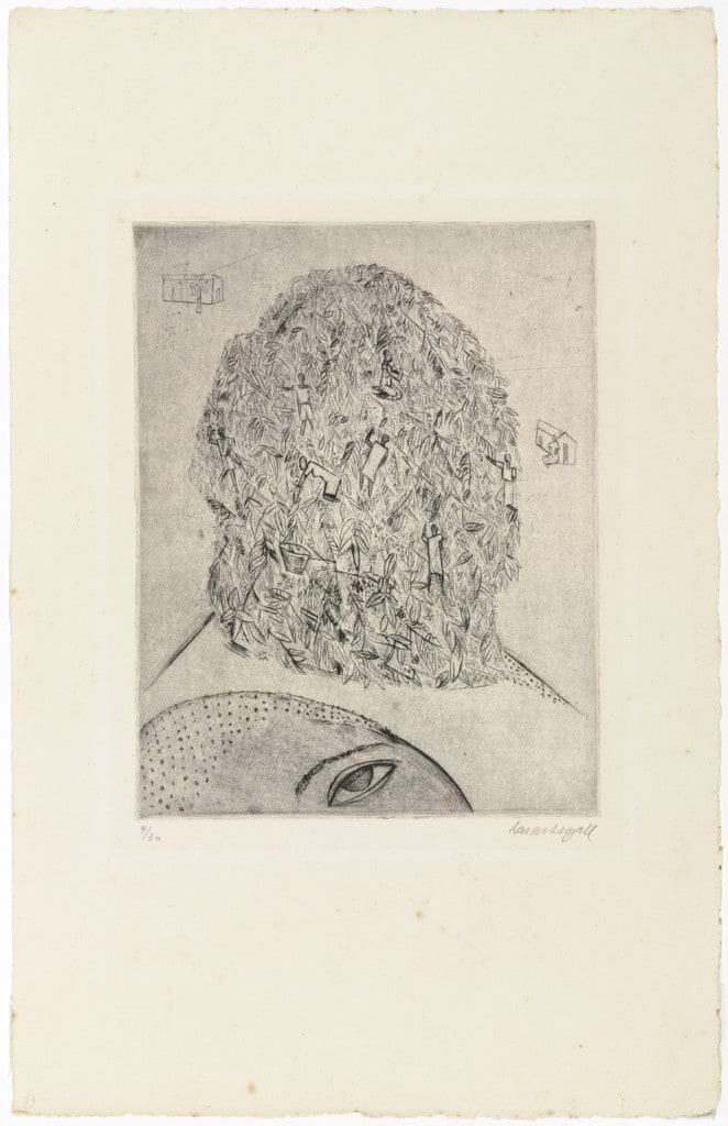Coffee Tree and Head (Cabeça e cafezal)