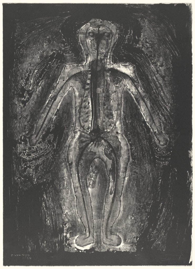 Transparent Man