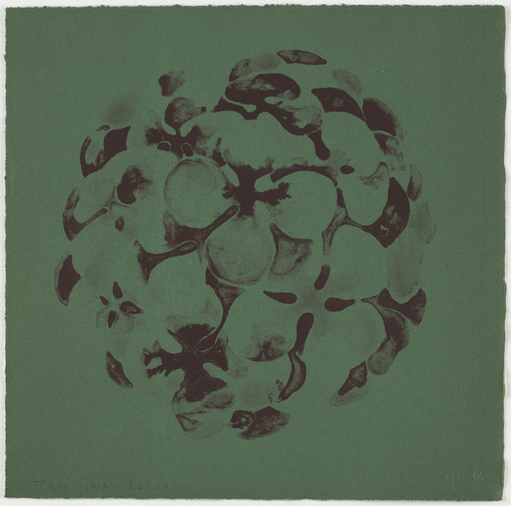 Untitled (TAM.1561, Hydrangea Blue from the portfolio Flowers)