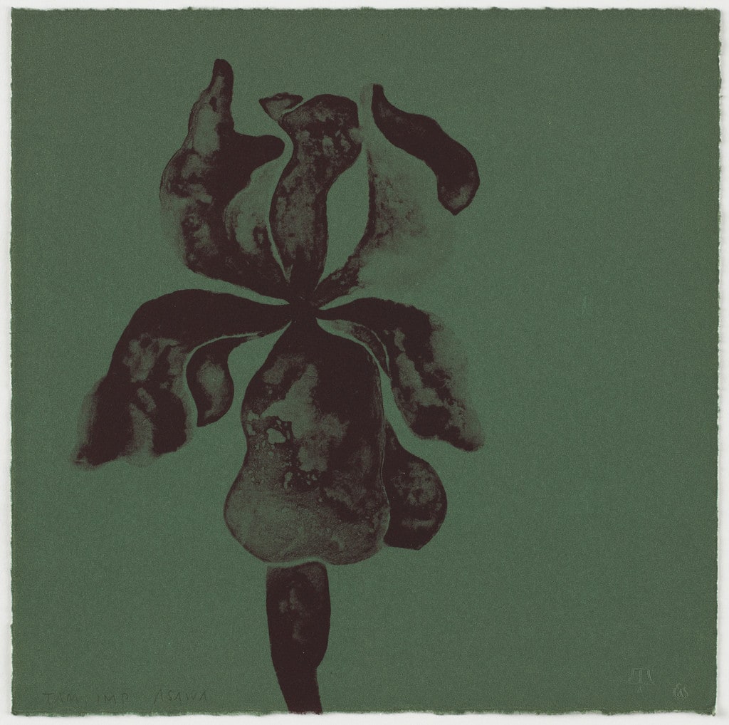 Untitled (TAM.1562, Iris Blue from the portfolio Flowers)