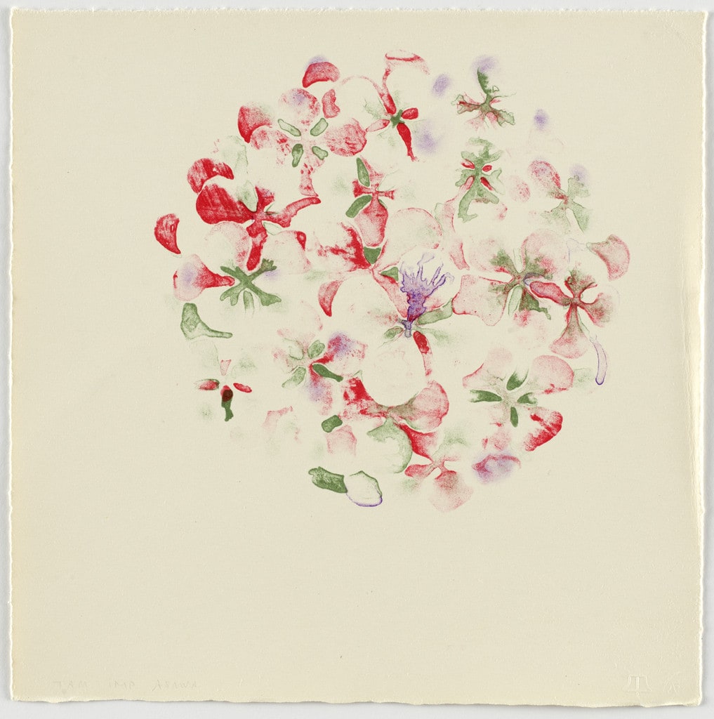 Untitled (TAM.1493, Hydrangea from the portfolio Flowers)