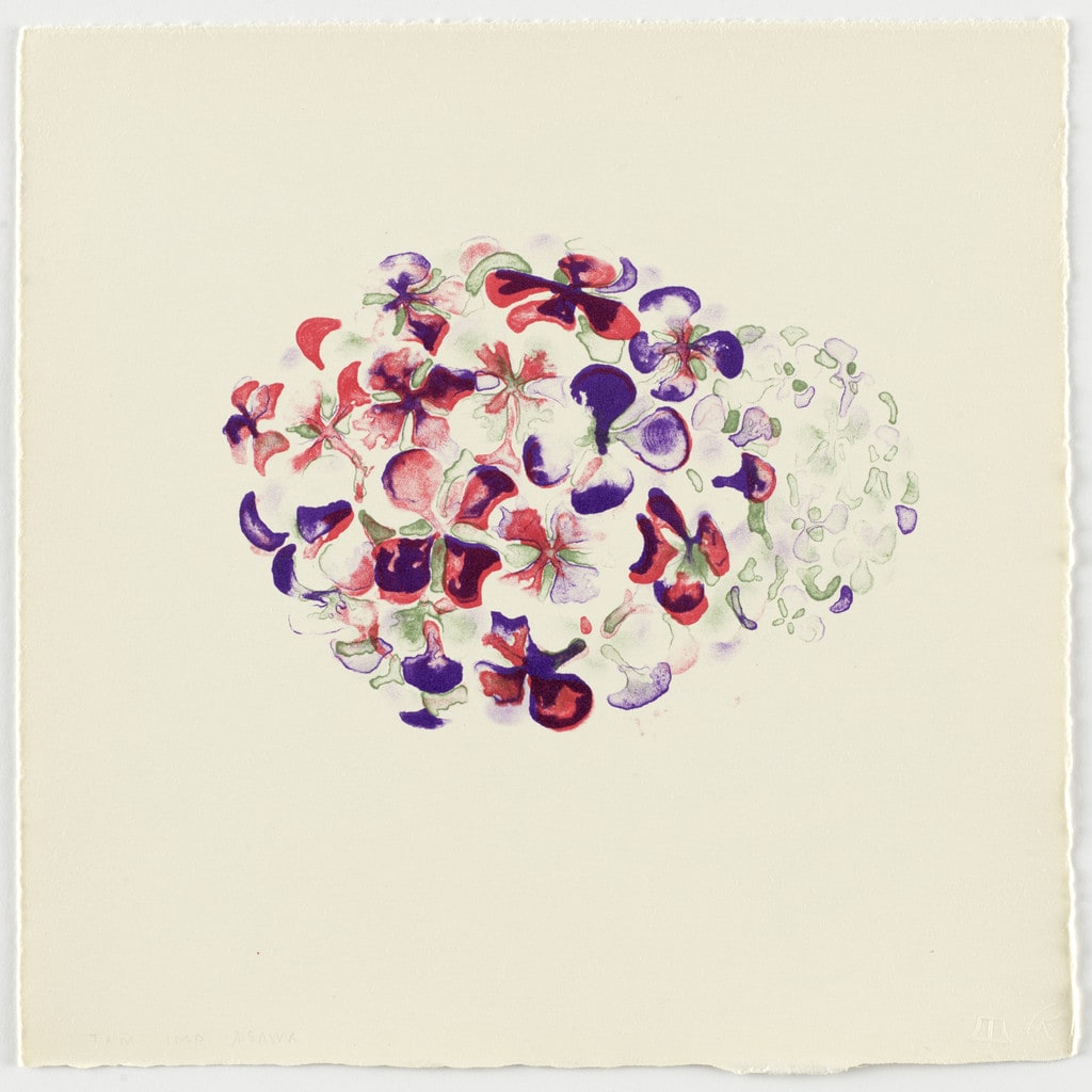 Untitled (TAM.1535, Hydrangea from the portfolio Flowers)