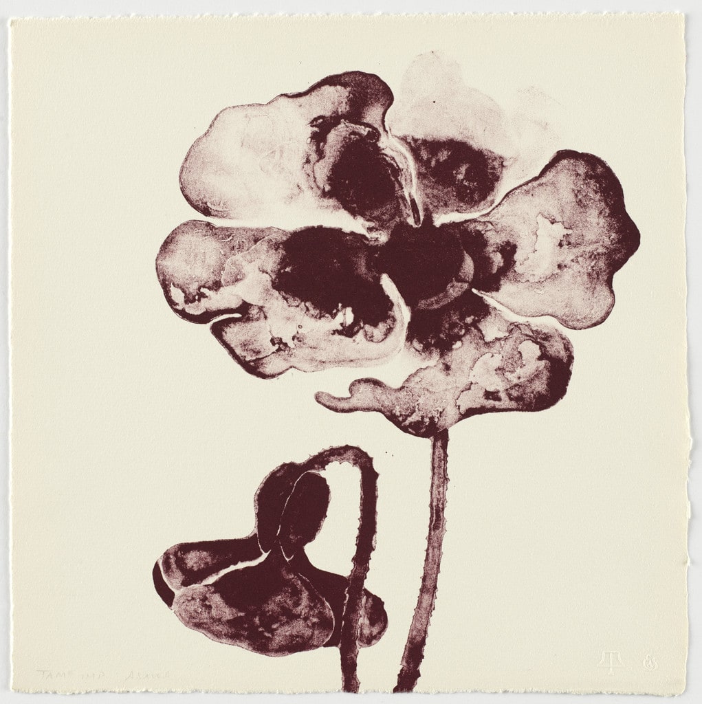 Untitled (TAM.1559, Poppy Maroon from the portfolio Flowers)
