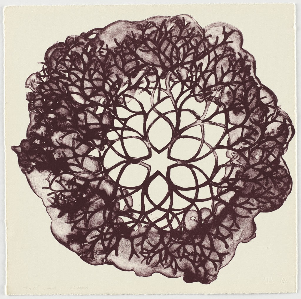 Untitled (TAM.1560, Desert Plant from the portfolio Flowers)