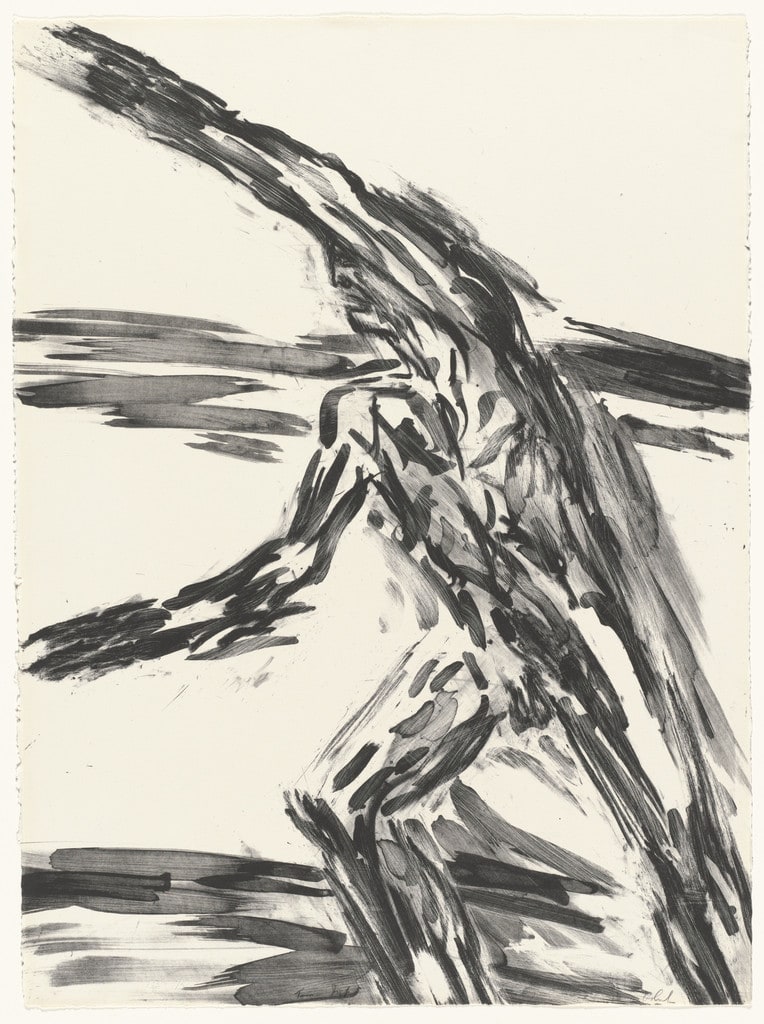 Niobid II