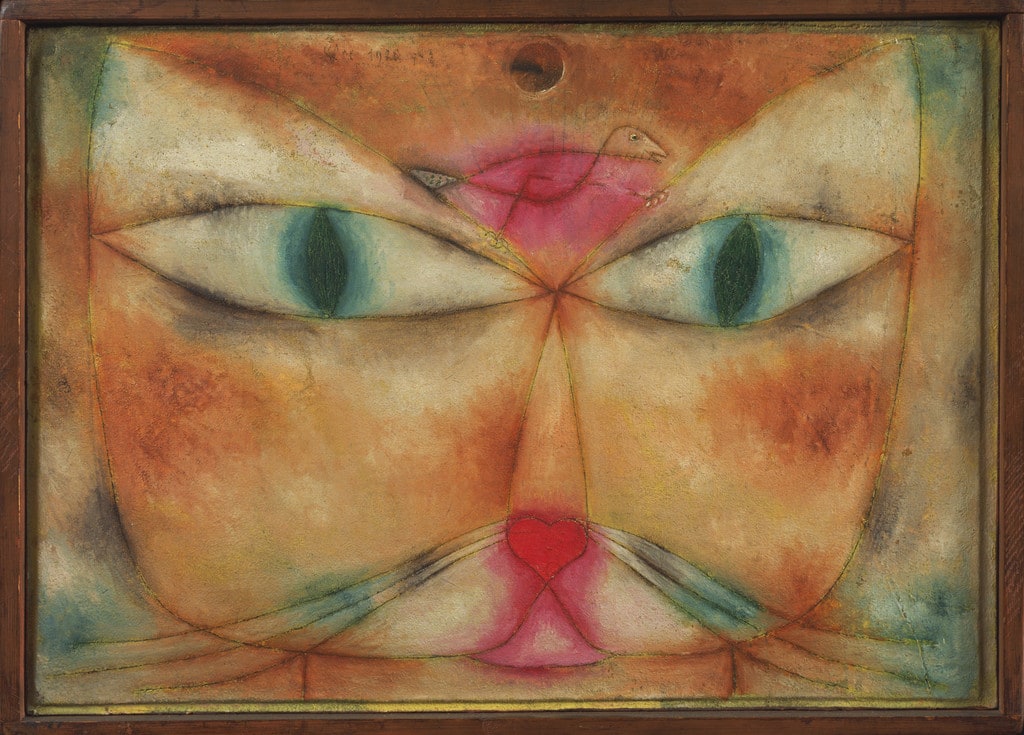 Cat and Bird