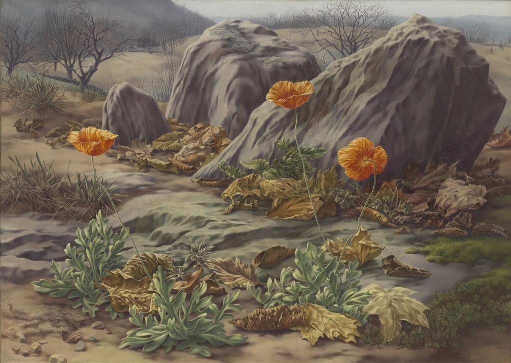Landscape with Poppies