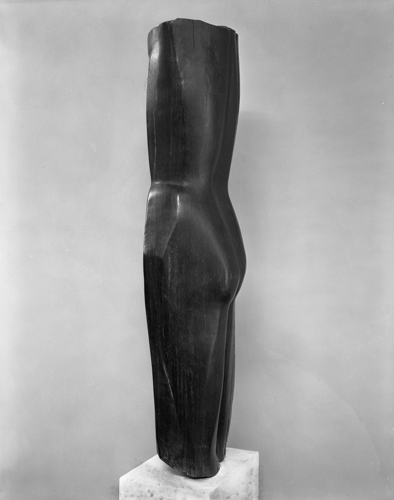 Torso