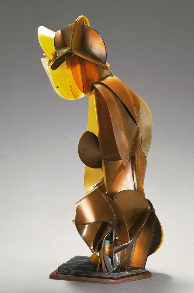 Torso